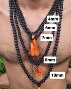 WhatsApp Image 2026-02-23 at 7.03.08 PM (1)