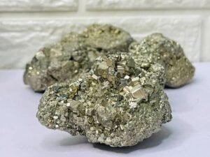 WhatsApp Image 2026-02-23 at 7.41.28 PM