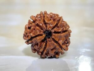 41pSpWRpvvL._AC_UF894,1000_QL80_