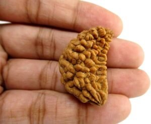 51NXHufUtoL._AC_UF894,1000_QL80_